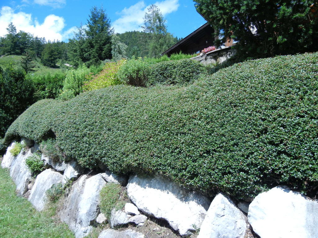 Privathaus Achensee Achenkirch Zimmer foto